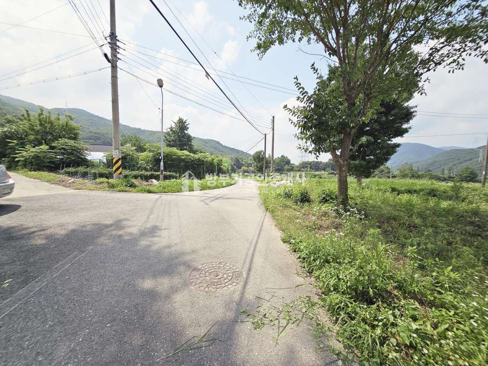 경기 양평군 지평면 일신리 지평면토지매매 88.94평/ 평당65만원 매매 매물번호 14803 사진 5