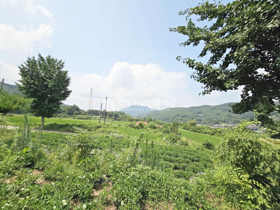 경기 양평군 지평면 일신리 지평면토지매매 88.94평/ 평당65만원 매매 매물번호 14803 사진 4