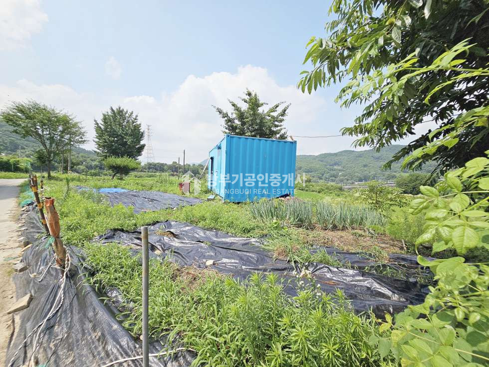경기 양평군 지평면 일신리 지평면토지매매 88.94평/ 평당65만원 매매 매물번호 14803 사진 2