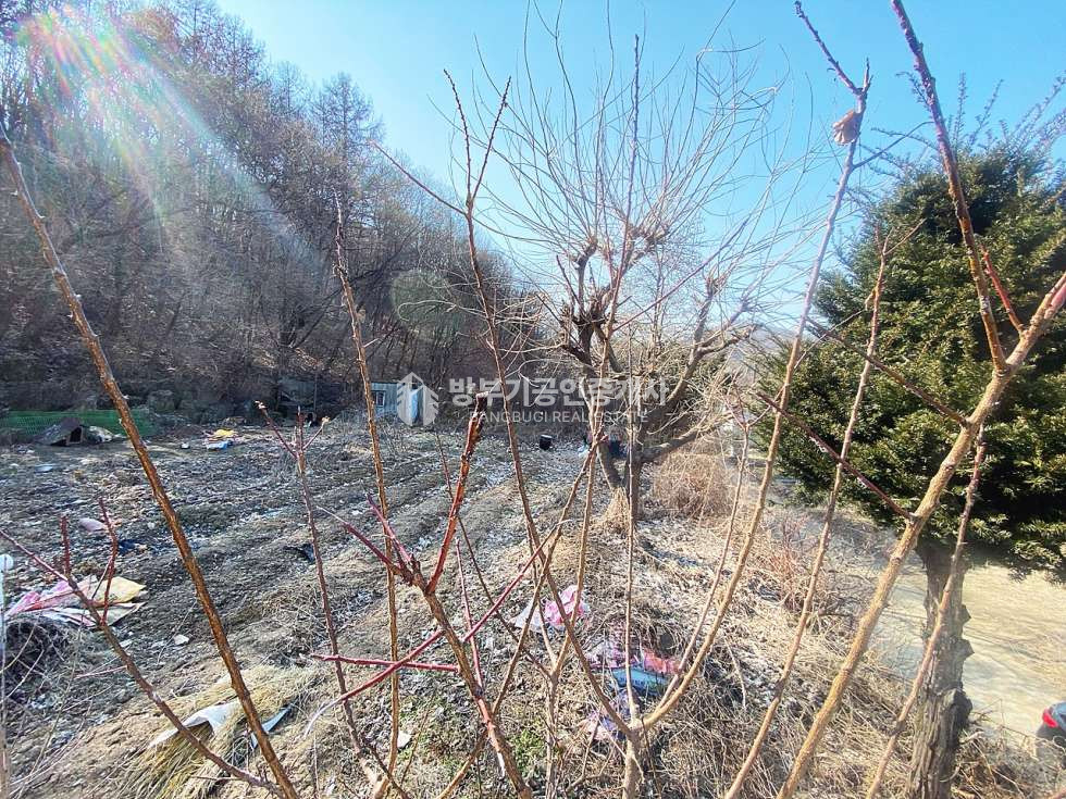 경기 양평군 강상면 세월리 강상면토지매매 178.77평/ 평당80만원 매매 매물번호 14809 사진 2