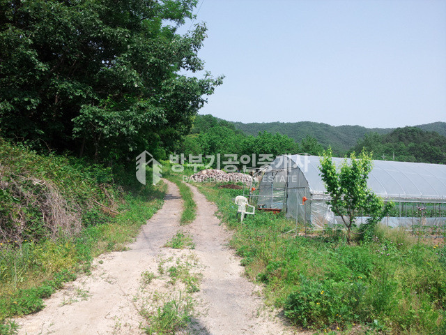 경기 양평군 지평면 망미리 평당54만 200평이상 분할매매가능한 토지매매 매매 매물번호 14815 사진 2