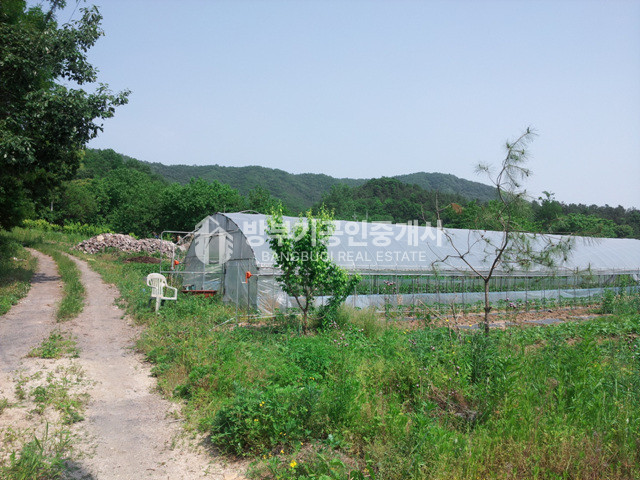 경기 양평군 지평면 망미리 평당54만 200평이상 분할매매가능한 토지매매 매매 매물번호 14815 사진 3
