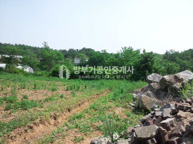 경기 양평군 지평면 망미리 평당54만 200평이상 분할매매가능한 토지매매 매매 매물번호 14815 사진 8