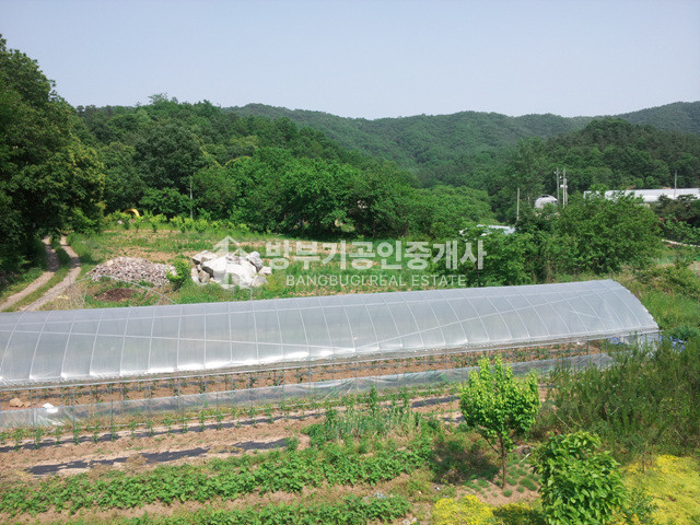 경기 양평군 지평면 망미리 평당54만 200평이상 분할매매가능한 토지매매 매매 매물번호 14815 사진 13