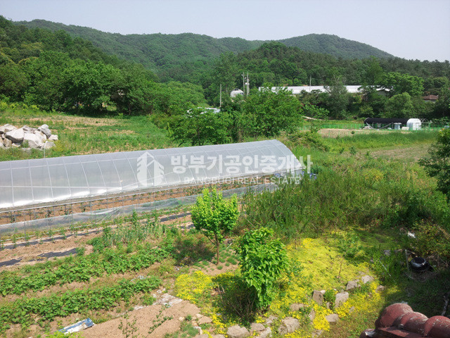 경기 양평군 지평면 망미리 평당54만 200평이상 분할매매가능한 토지매매 매매 매물번호 14815 사진 14