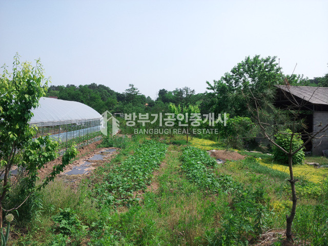 경기 양평군 지평면 망미리 평당54만 200평이상 분할매매가능한 토지매매 매매 매물번호 14815 사진 20