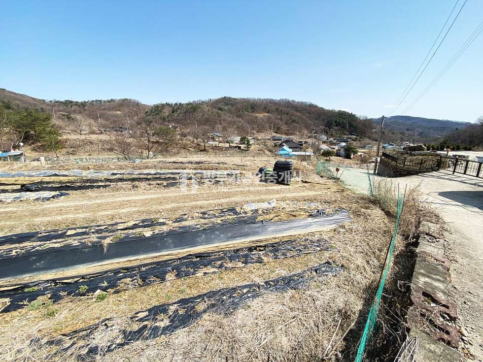 경기 양평군 양서면 청계리 양서면토지매매 431평/평당120만원 매매 매물번호 14825 사진 3