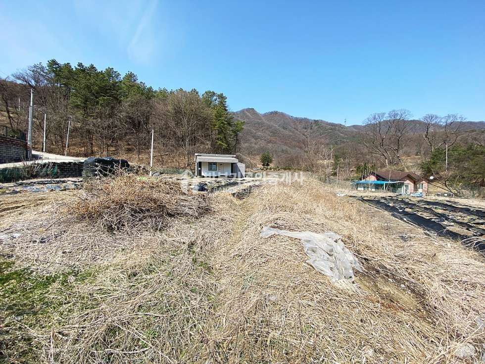 경기 양평군 양서면 청계리 양서면토지매매 431평/평당120만원 매매 매물번호 14825 사진 5