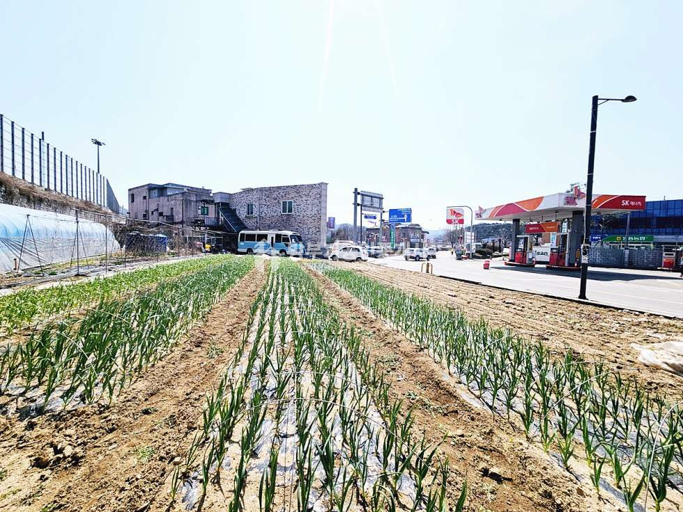 경기 양평군 양동면 쌍학리 양동면토지매매 216.89평/ 평당300만원 제1종 일반주거지역 매매 매물번호 14866 사진 2