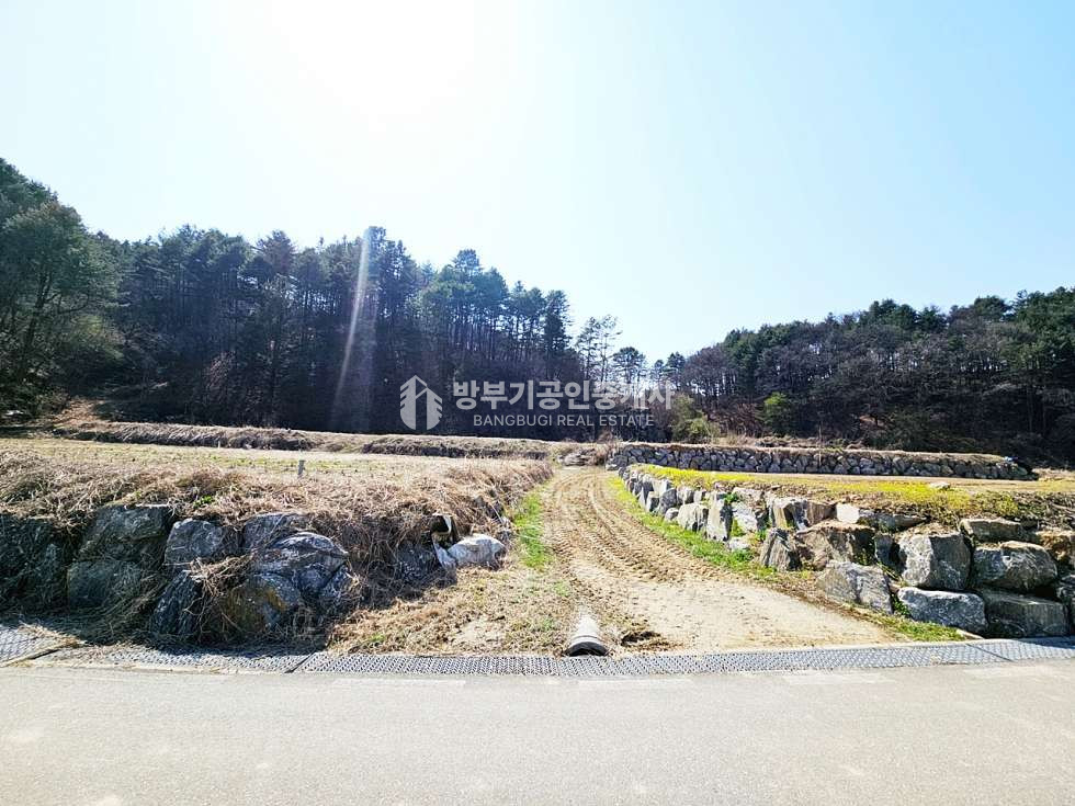 경기 양평군 양동면 삼산리 양동면토지매매 1,831.9평/ 평당45만원 매매 매물번호 14867 사진 2