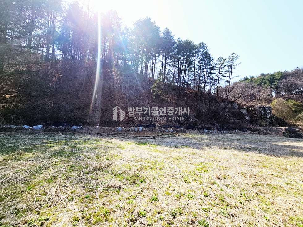 경기 양평군 양동면 삼산리 양동면토지매매 1,831.9평/ 평당45만원 매매 매물번호 14867 사진 5