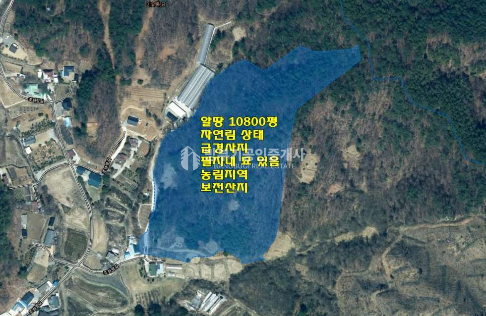경기 양평군 용문면 조현리 용문면토지매매 10,799.86평/ 평당15만원 매매 매물번호 14870 사진 1
